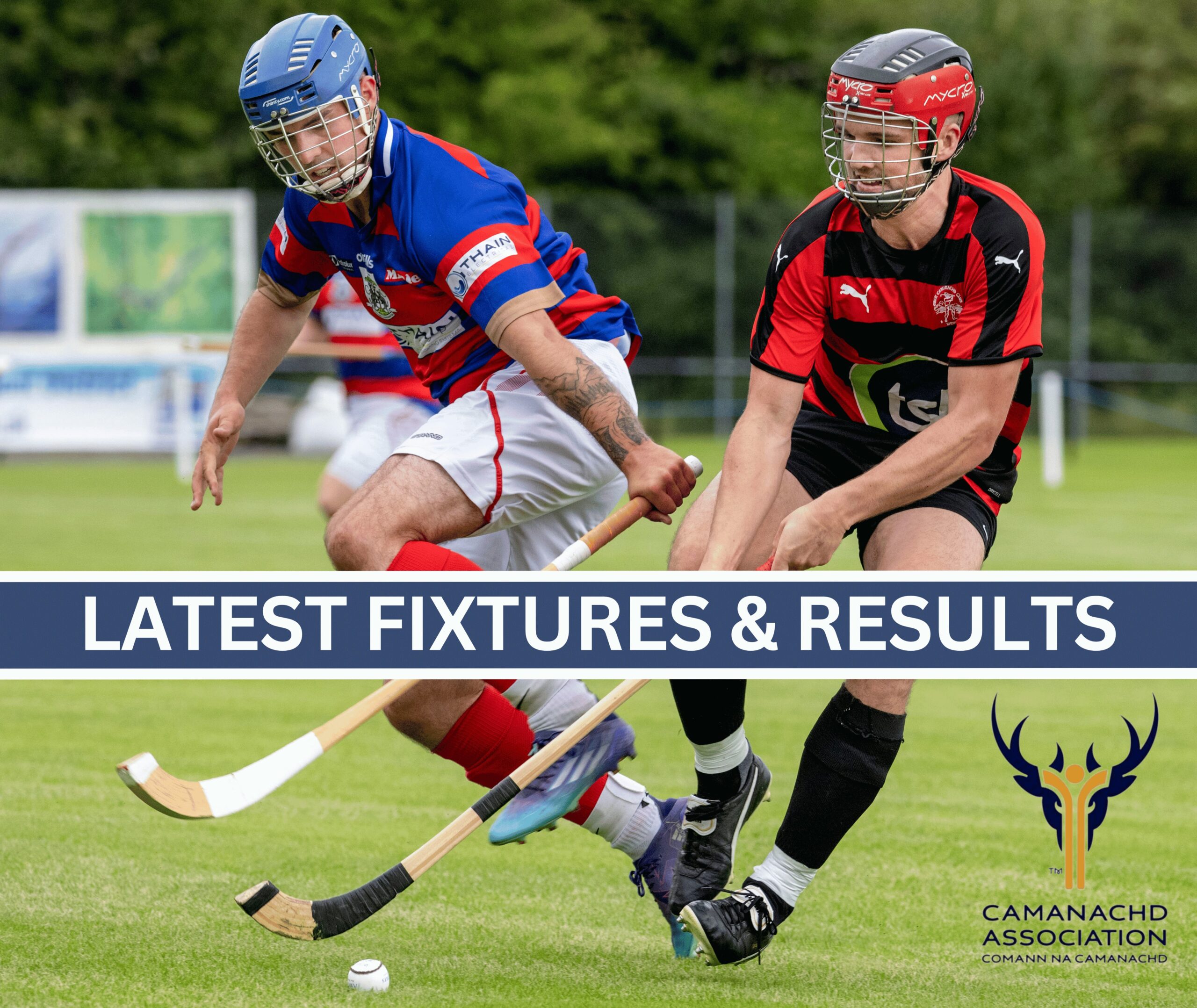 Shinty Results and Fixtures